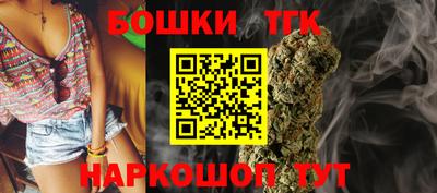 СК Бийск