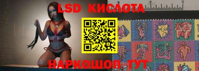 СК Бийск
