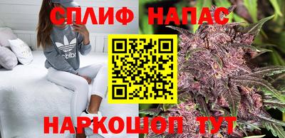 СК Бийск