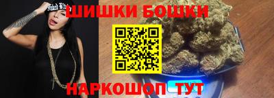 СК Бийск
