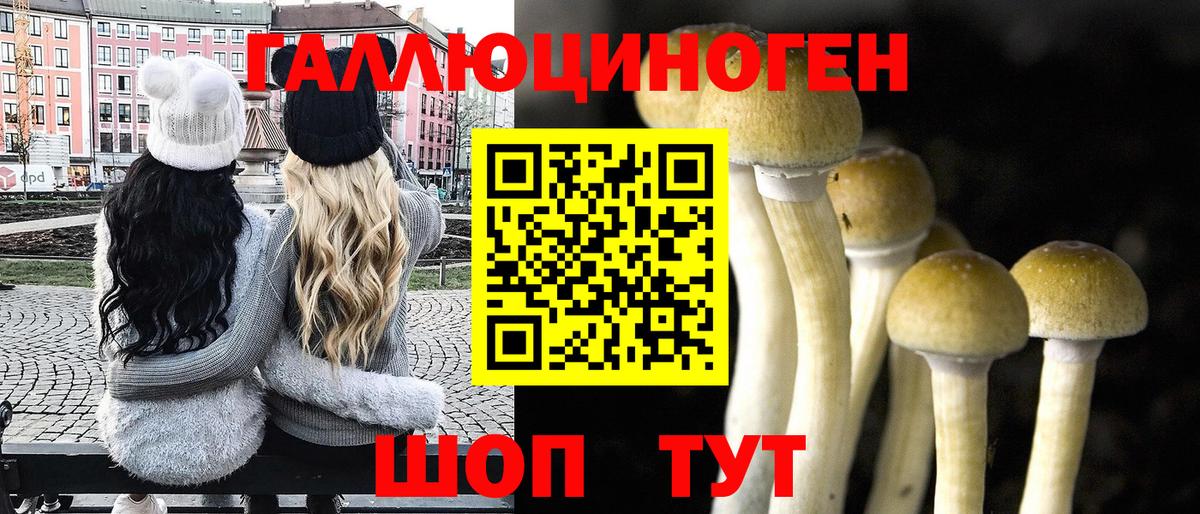 Псилоцибиновые грибы GOLDEN TEACHER  Вход с VPN  Зерноград 